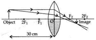 Solved CBSE Sample Papers for Class 10 Science Set 6 1.13