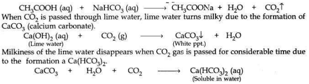 Solved CBSE Sample Papers for Class 10 Science Set 6 1.17