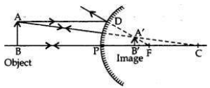 Solved CBSE Sample Papers for Class 10 Science Set 6 1.4