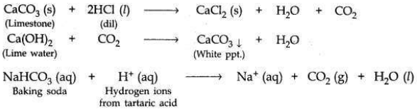 Solved CBSE Sample Papers for Class 10 Science Set 6 1.5