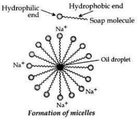 Solved CBSE Sample Papers for Class 10 Science Set 6 1.8