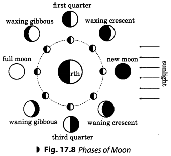 Stars-and-the-Solar-System-Class-8-Extra-Questions-Science-Chapter-17-1