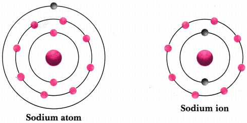 Structure of the Atom Class 9 Extra Questions Science Chapter 4 15