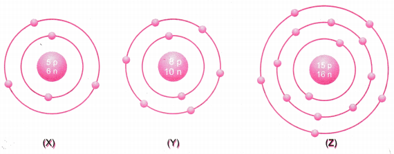 Structure of the Atom Class 9 Extra Questions Science Chapter 4 8