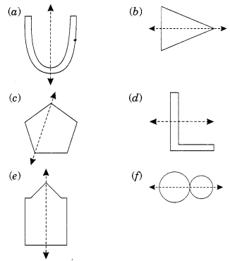 Symmetry Class 6 Extra Questions Maths Chapter 13