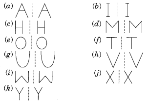 Symmetry Class 6 Extra Questions Maths Chapter 13 