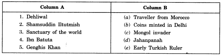 The Delhi Sultans Class 7 Extra Questions History Chapter 3 - 2