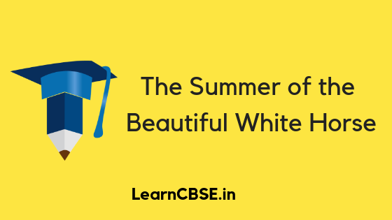The-Summer-Of-The-Beautiful-White-Horse-Summary
