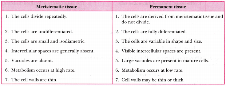 Tissues Class 9 Extra Questions Science Chapter 6 5