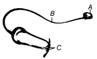 Transportation in Animals and Plants Class 7 Extra Questions Science Chapter 11 3