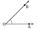 Understanding Elementary Shape Class 6 Extra Questions Maths Chapter 5