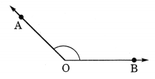 Understanding Elementary Shape Class 6 Extra Questions Maths Chapter 5