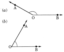 Understanding Elementary Shape Class 6 Extra Questions Maths Chapter 5