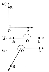 Understanding Elementary Shape Class 6 Extra Questions Maths Chapter 5