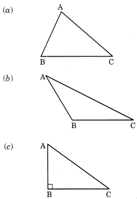 Understanding Elementary Shape Class 6 Extra Questions Maths Chapter 5