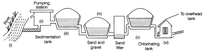 Wastewater-Story-Class-7-Extra-Questions-Science-Chapter-18-1