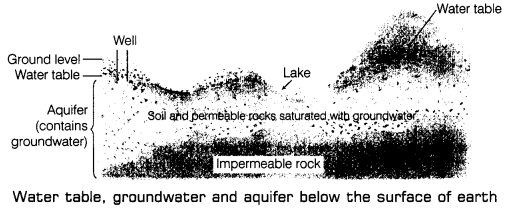 Water A Precious Resource Class 7 Extra Questions Science Chapter 16 3
