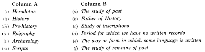 What-Where-How-and-When-Class-6-Extra-Questions-History-Chapter-1-V-Q5