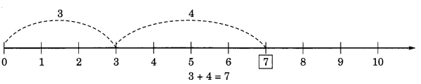 Whole Numbers Class 6 Extra Questions Maths Chapter 2