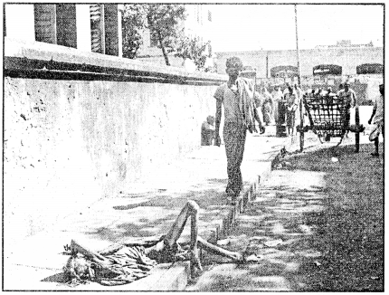 Words and Expressions Class 10 Solutions Unit 4 From the Diary of Anne Frank 3