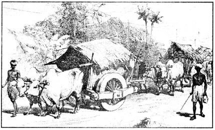 Words and Expressions Class 10 Solutions Unit 4 From the Diary of Anne Frank 4