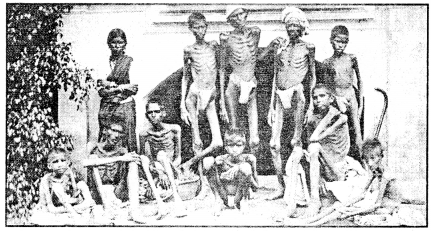 Words and Expressions Class 10 Solutions Unit 4 From the Diary of Anne Frank 5