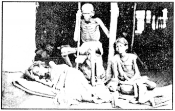 Words and Expressions Class 10 Solutions Unit 4 From the Diary of Anne Frank 8