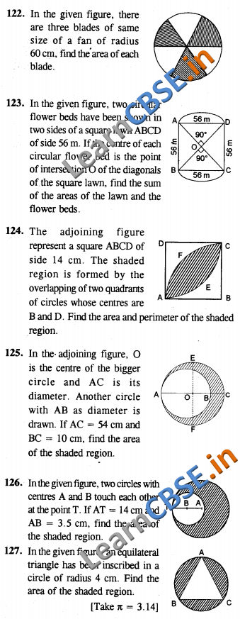  NCERT Class 10 Power Sharing Solutions CCE Summative Assessment LAQ 