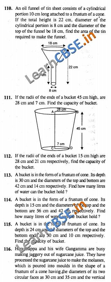 NCERT Class 10 Power Sharing Solutions CCE Summative Assessment SAQ 3 Marks 01
