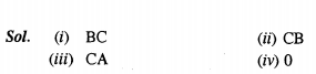 Maths CBSE Class 10 Coordinate Geometry Objective Type