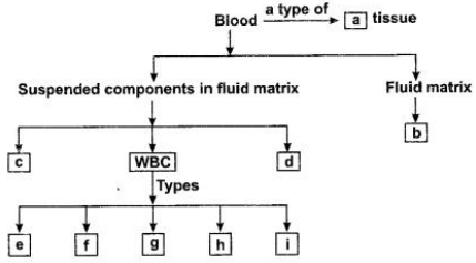 CBSE Sample Papers for Class 9 Science Solved Set 4 20Q