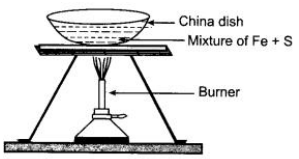 CBSE Sample Papers for Class 9 Science Solved Set 4 25Q
