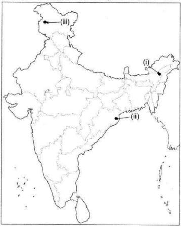 CBSE Sample Papers for Class 9 Social Science Solved Set 3 28