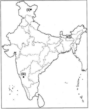 CBSE Sample Papers for Class 9 Social Science Solved Set 4 28