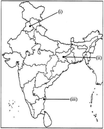 CBSE Sample Papers for Class10 Social Science Solved Set 3 28