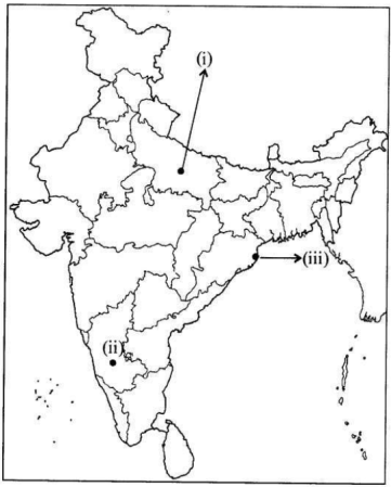 CBSE Sample Papers for Class10 Social Science Solved Set 5 28