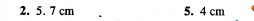 Constructions NCERT Solutions For Class 10 Maths Higher Order Thinking Skills Answers
