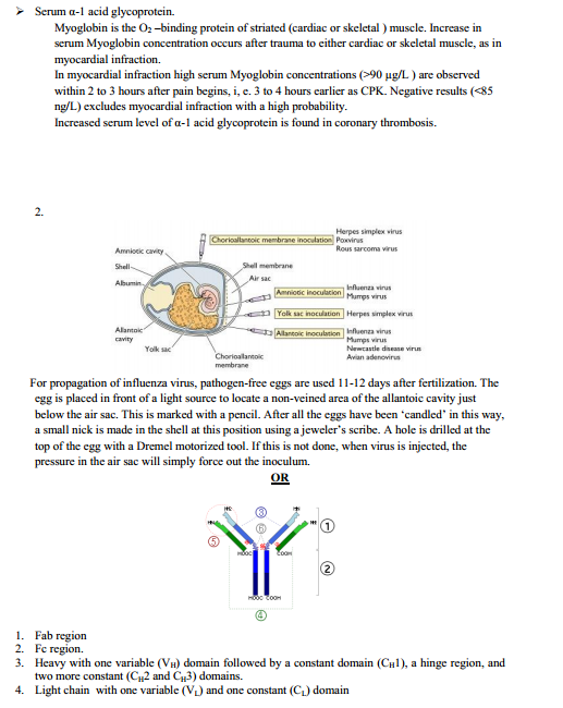  Medical Diagnostics Syllabus 