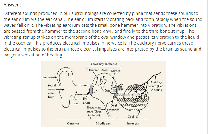 NCERT Solutions For Class 9 Science Chapter 12 Sound