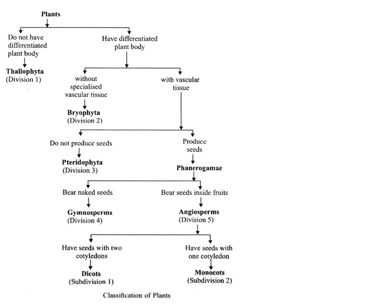 PS Verma Biology Class 9 Chapter 4