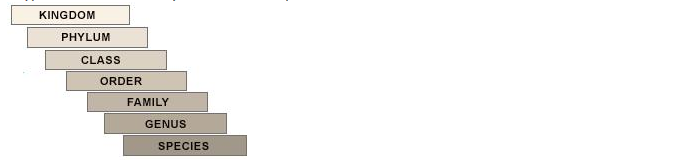 PS Verma Biology Class 9 Chapter 4