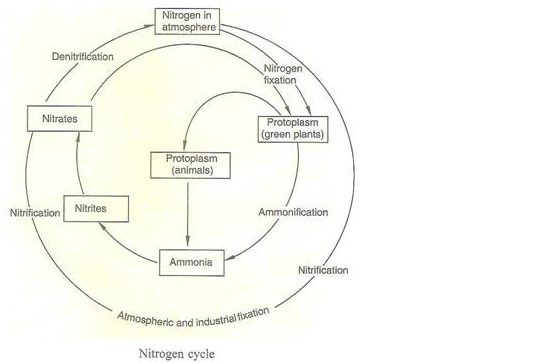 PS Verma Biology Class 9 Chapter 4