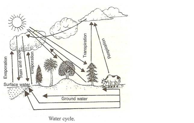PS Verma Biology Class 9 Chapter 4