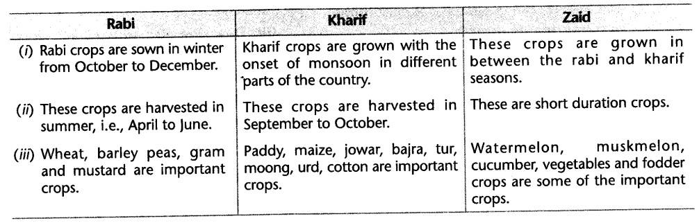 social-sciences-cbse-class-10-geography-agriculture-hots.4