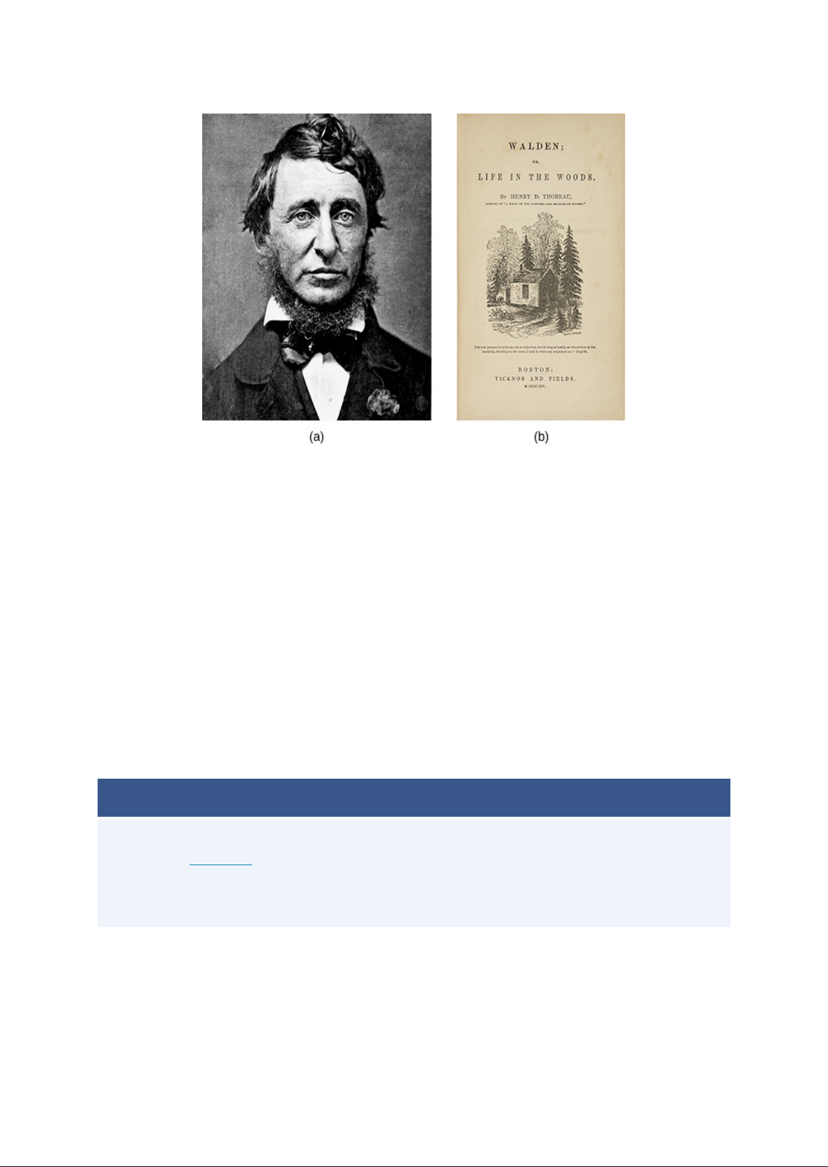 Antebellum_Idealism_and_Reform_Impulses_18201860 Image-3