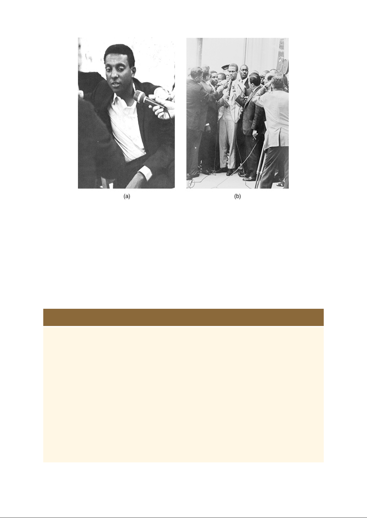 Contesting_Futures__America_in_the_1960s Image-18