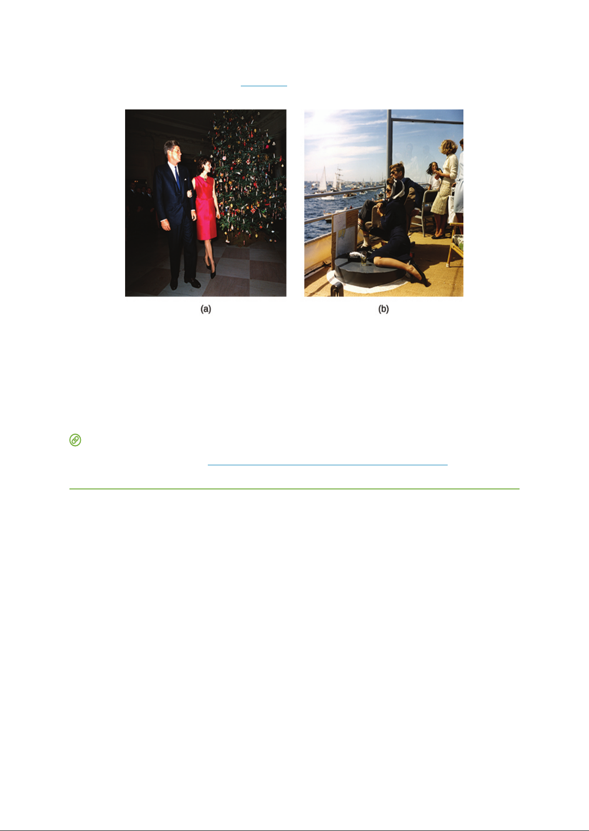 Contesting_Futures__America_in_the_1960s PDF Download