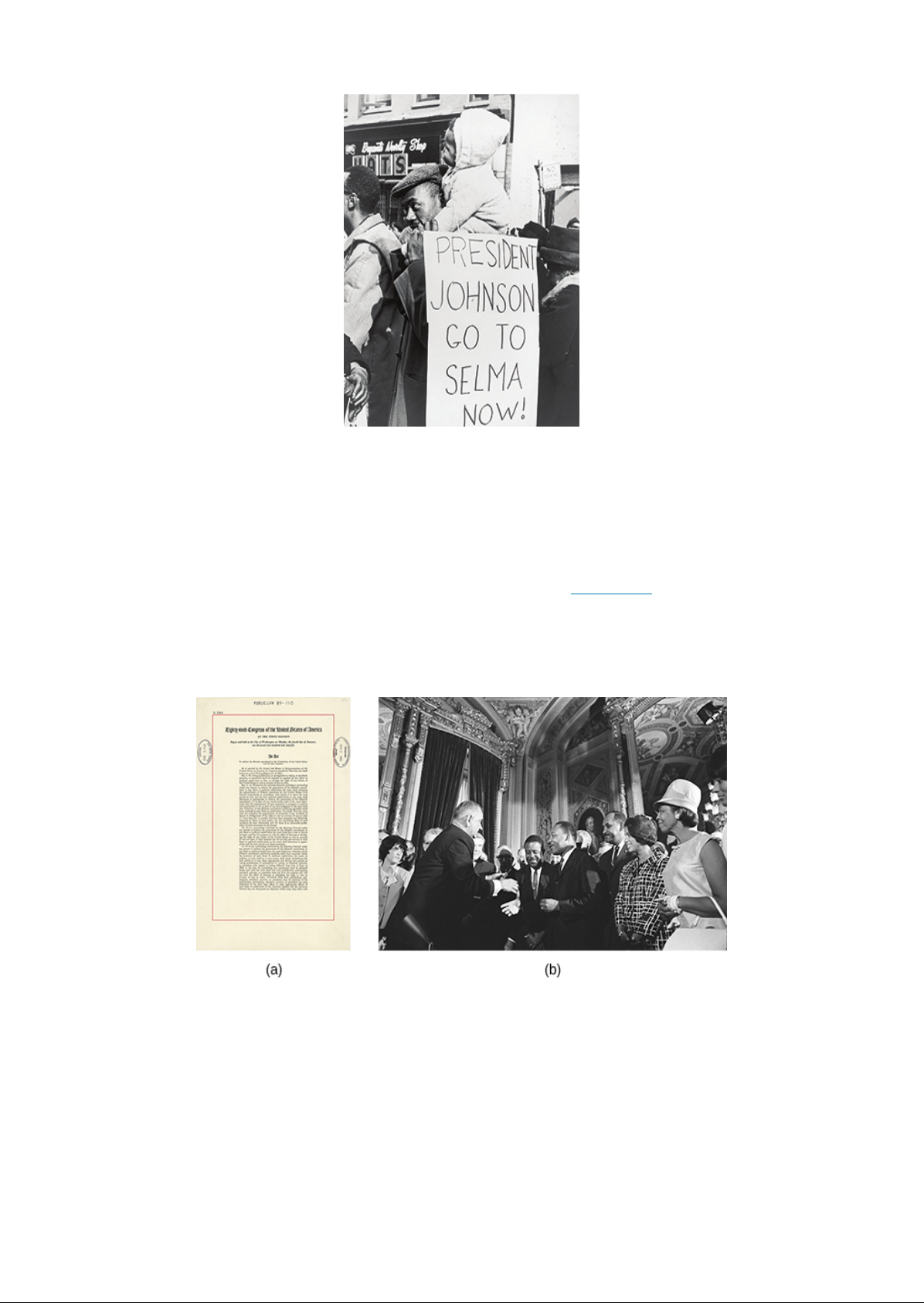 Contesting_Futures__America_in_the_1960s Image-9