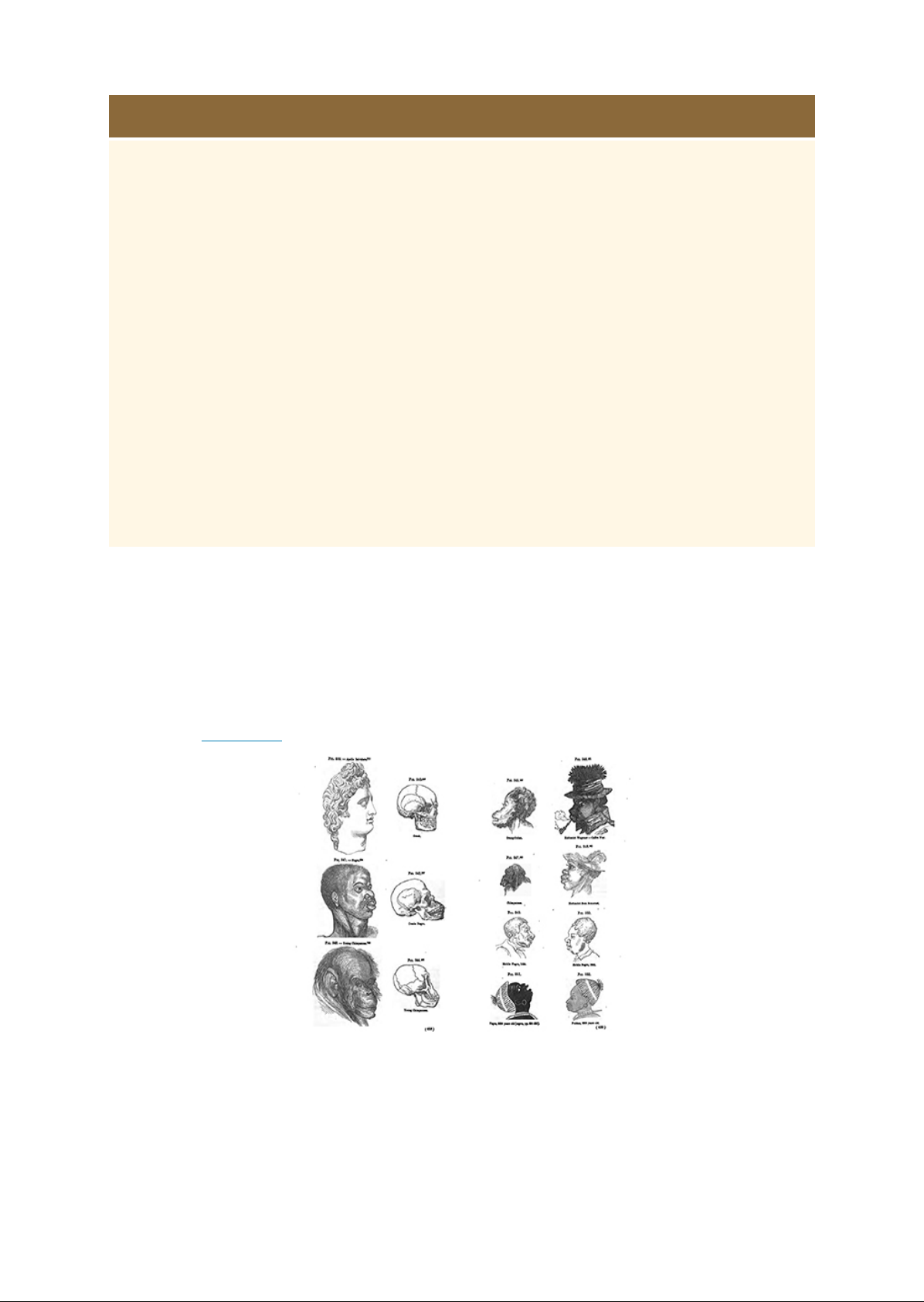 Cotton_is_King__The_Antebellum_South_18001860 Image-19