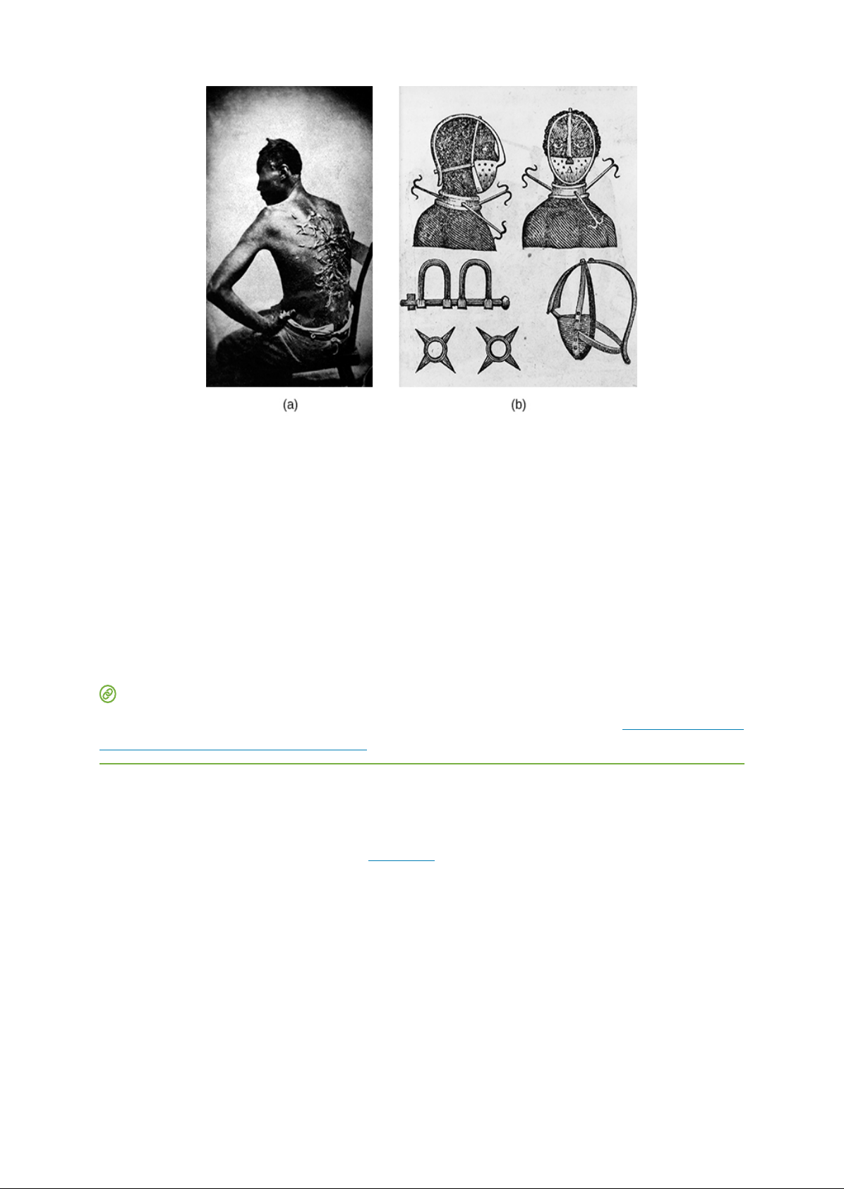 Cotton_is_King__The_Antebellum_South_18001860 Image-5